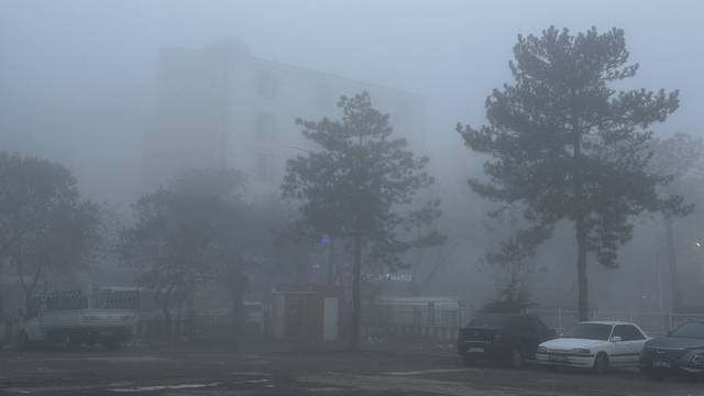 Iğdır'da yoğun sis nedeniyle görüş mesafesi 20 metreye kadar düştü