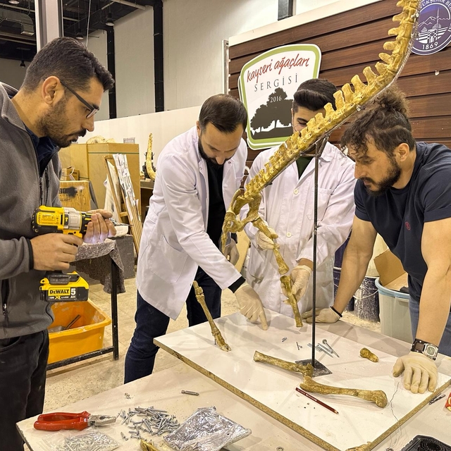 Kayseri'de kazılarda ortaya çıkarılan fosilleri ayaklandırma çalışmaları sü...