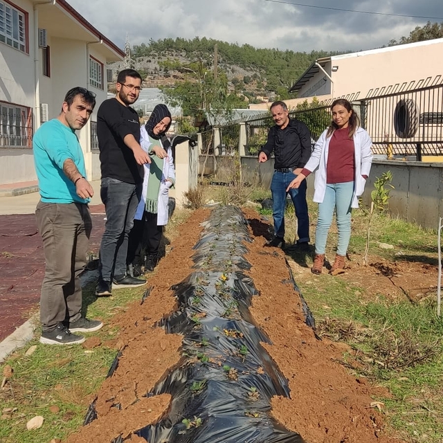 Bozyazı'da engelli öğrenciler fidan dikti