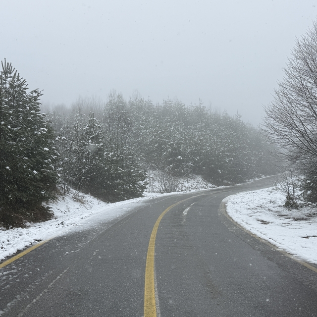 Sakarya'nın yüksek kesimlerde kar yağışı etkili oldu