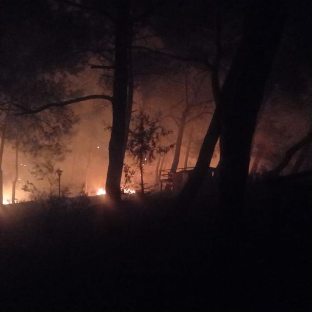 Adana'da çıkan orman yangını kontrol altına alındı