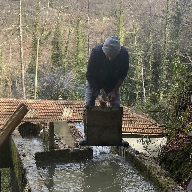 Dede yadigarı su değirmeninin taşlarını torunu döndürüyor