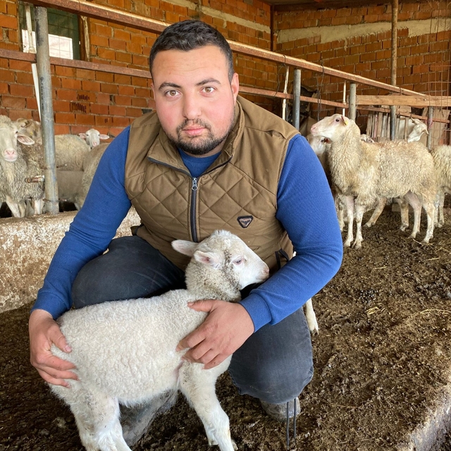 Çanakkale'de koyunun 5 ayaklı doğan kuzusu ilgi çekti