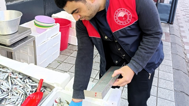 Kırklareli'nde su ürünleri denetimi yapıldı