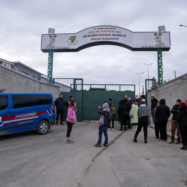 Mamak'ta hayvanların katledildiği iddiası üzerine bir grup vatandaş barınak...
