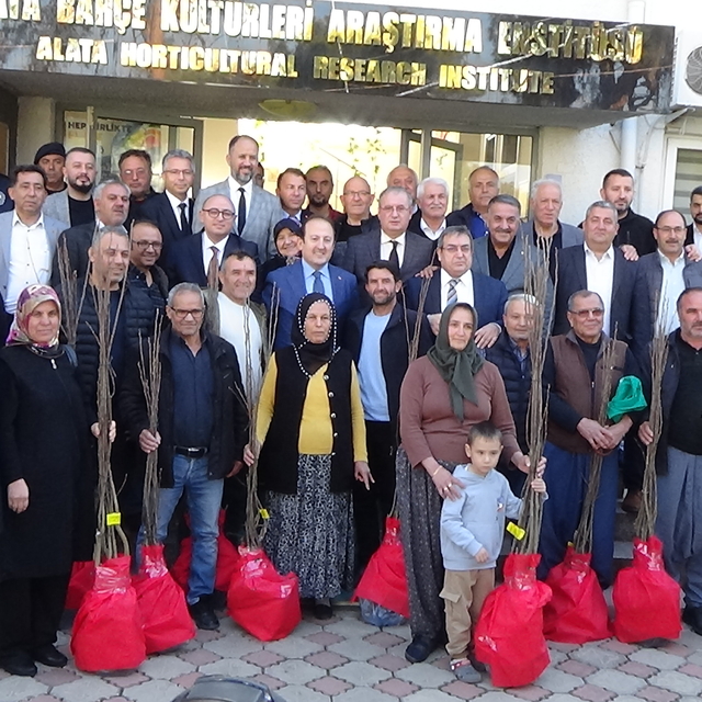 Mersin'de çiftçilere 1800 kestane fidanı dağıtıldı