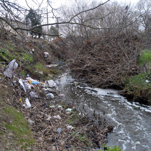 Saranlı Deresi'nde balık ölümlerine inceleme