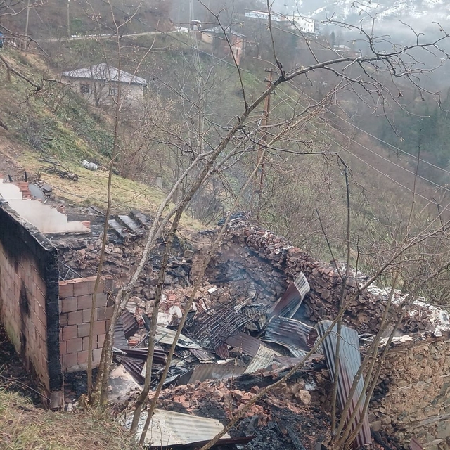 Yalnız yaşadığı evde çıkan yangında öldü