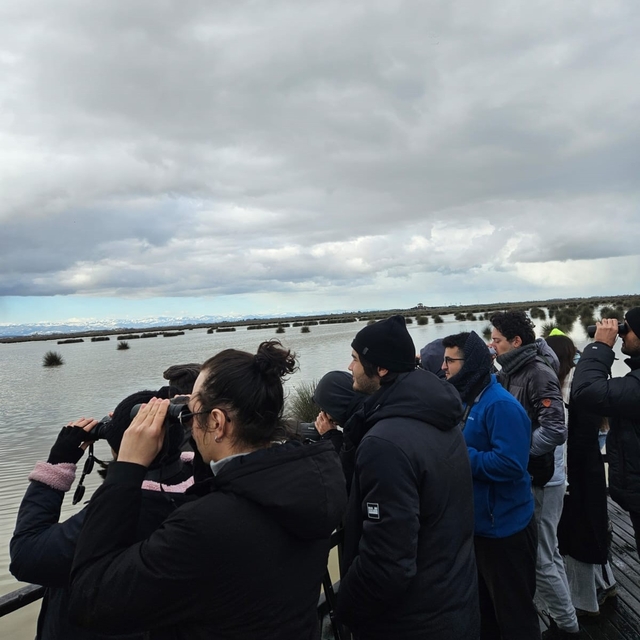 Kızılırmak Deltası'nda kış ortası su kuşu sayımında 71 türden yaklaşık 98 b...