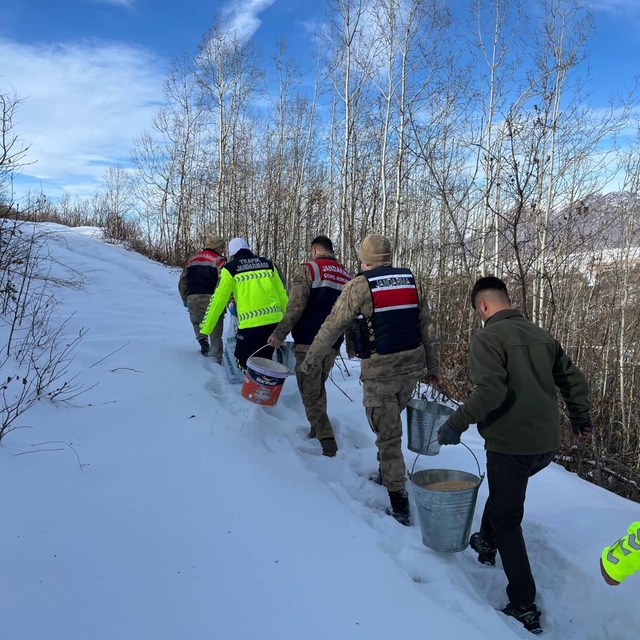 Bitlis'te yaban hayvanlar için doğaya yem bırakıldı