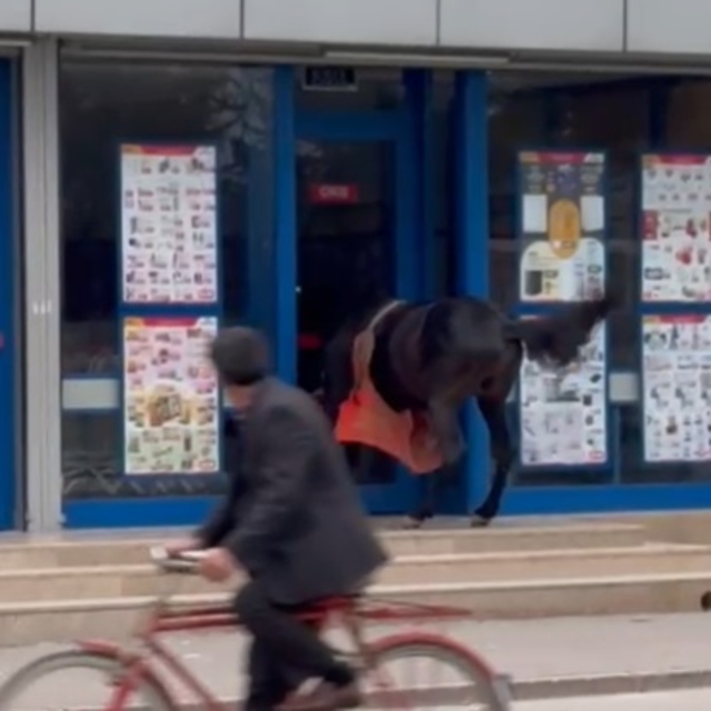 Atını marketin kapısına bağladı