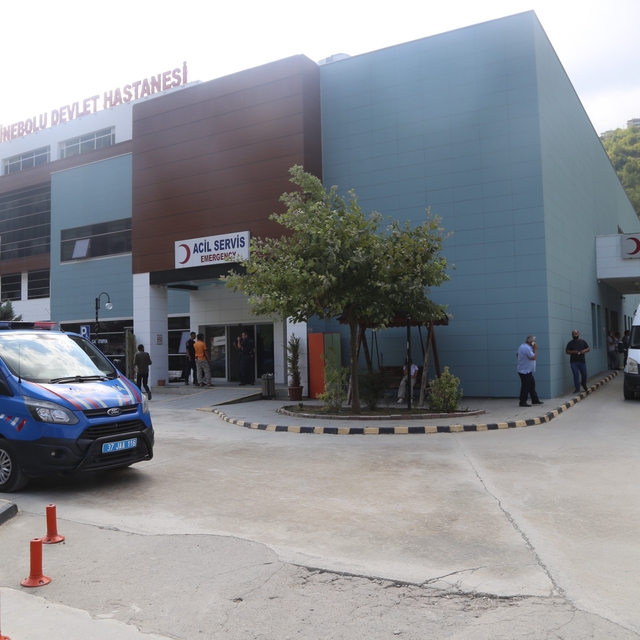 Kastamonu'da domuzun saldırdığı kişi yaralandı