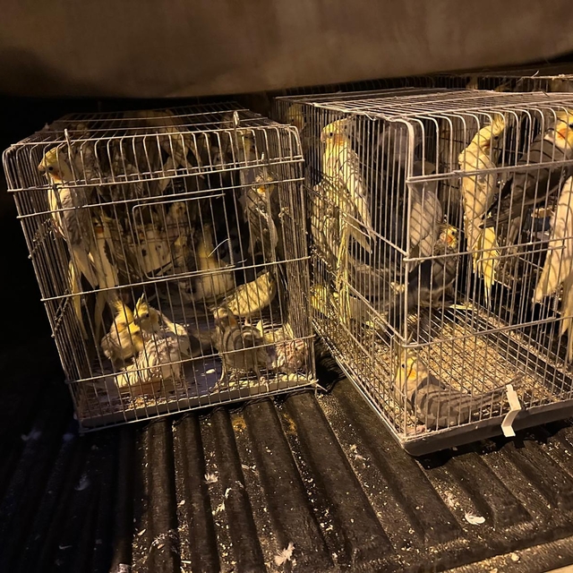 Tekirdağ'da kaçakçılık operasyonunda 15 kişi yakalandı