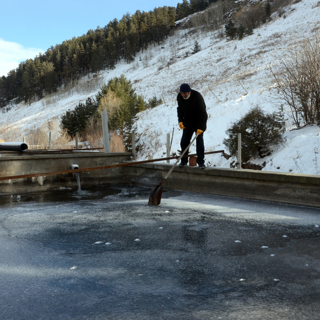Kars'ta çiftliklerdeki balık havuzları buzla kaplandı