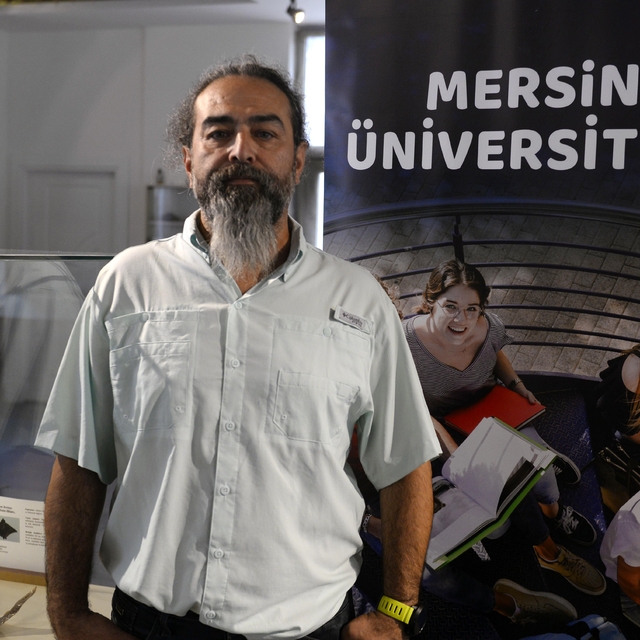 Kum köpek balıklarının koruma altına alınıp, bölgenin turizme kazandırılmas...