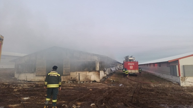 Sivrihisar'da tavuk çiftliğinde çıkan yangın söndürüldü