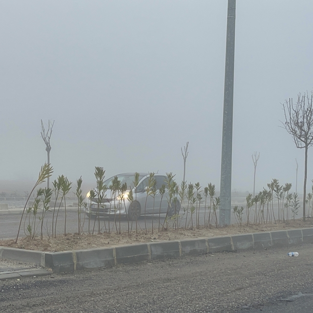 Tekirdağ'da sis etkili oldu