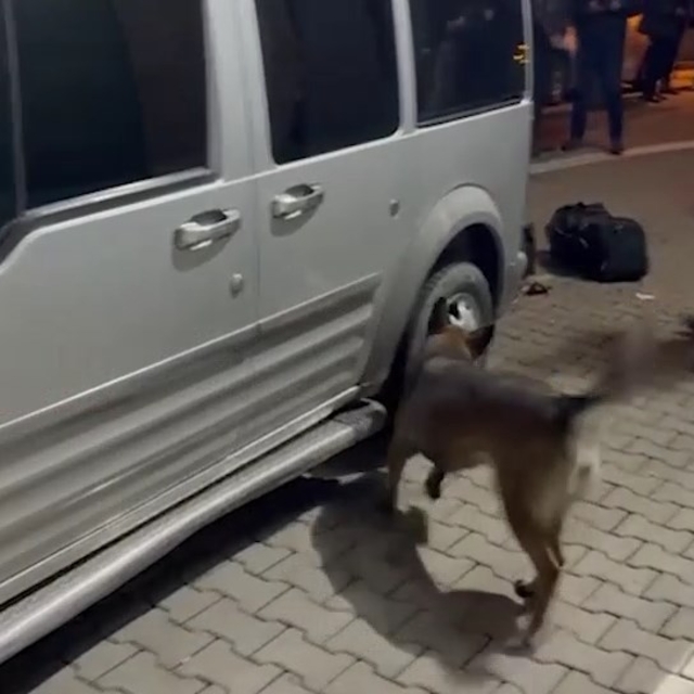 Durdurulan araçtaki 8 kilo metamfetamini 'Rita' buldu; 2 gözaltı