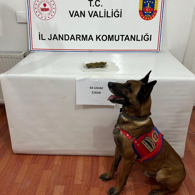 Van'da 44 gram esrar ele geçirildi