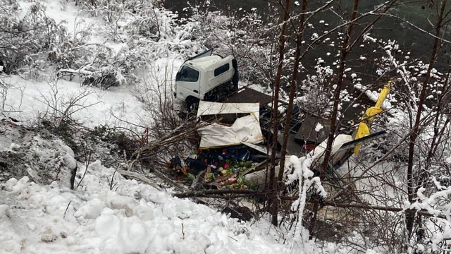 Artvin'de kamyonun dere kenarına devrildiği kazda 1 kişi yaralandı