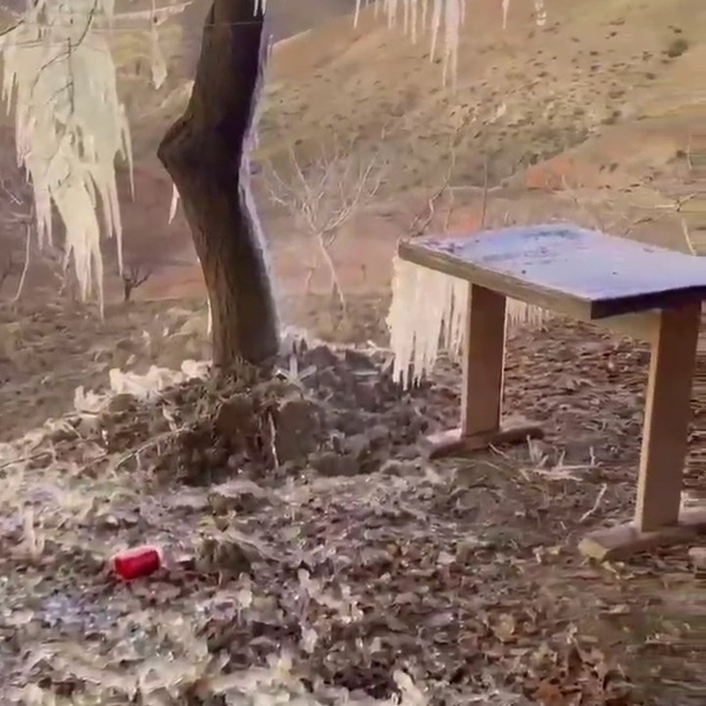 Patlayan borudan suyun sıçradığı ağaçta buz sarkıtları oluştu