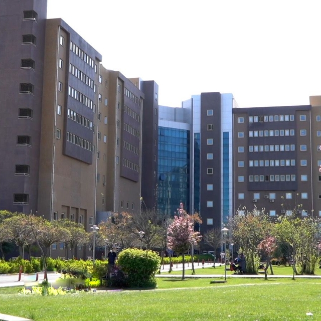 Diyarbakır Gazi Yaşargil Eğitim ve Araştırma Hastanesinde "epidural" doğum...