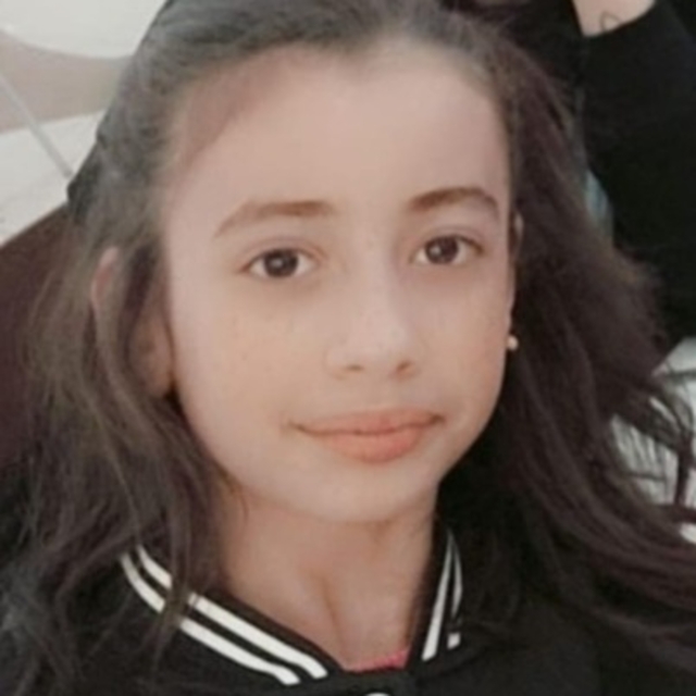 Diyarbakır'da 12 yaşındaki Ecrin kayıp; anne: Narin'den sonra psikolojim bo...