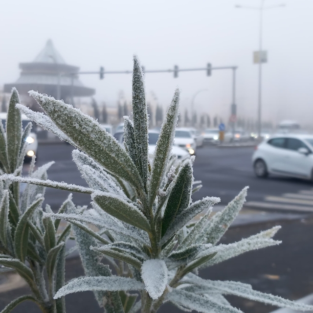 Diyarbakır'da uçak seferlerine 'sis' engeli