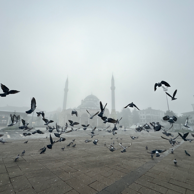 Bolu ve Düzce'de sis etkili oldu