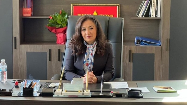 İdil Belediye Başkanı Kayır, DEM Parti'den ihraç edildi