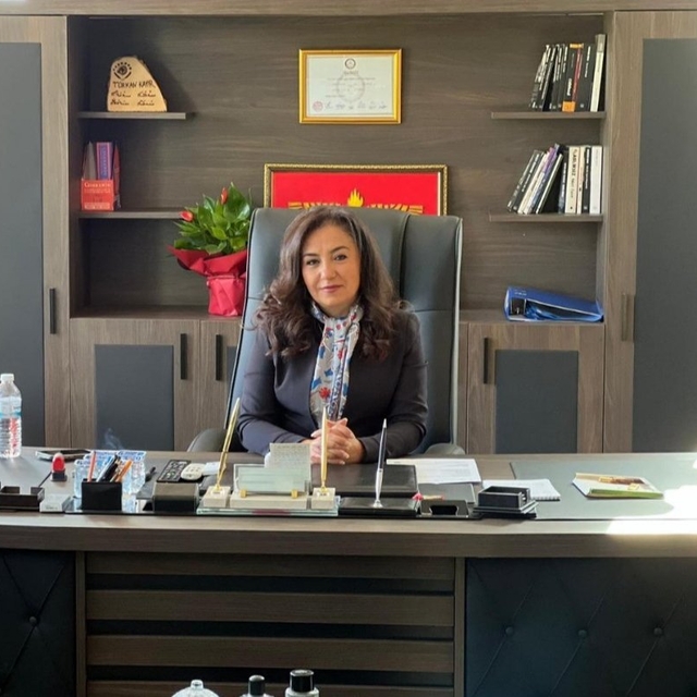 İdil Belediye Başkanı Kayır, DEM Parti'den ihraç edildi