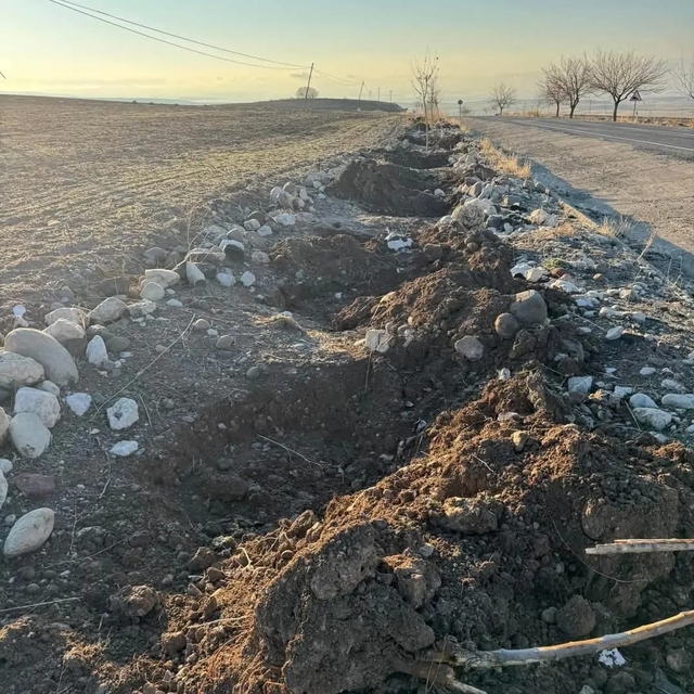 Tunceli'de belediyenin çevreyi yeşillendirmek için diktiği dut fidanları ça...