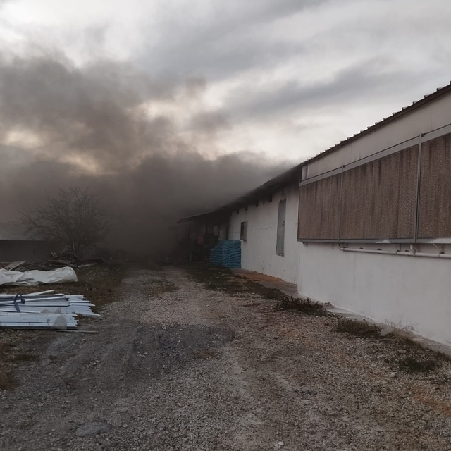 Mersin'de tavuk çiftliğinde çıkan yangın söndürüldü