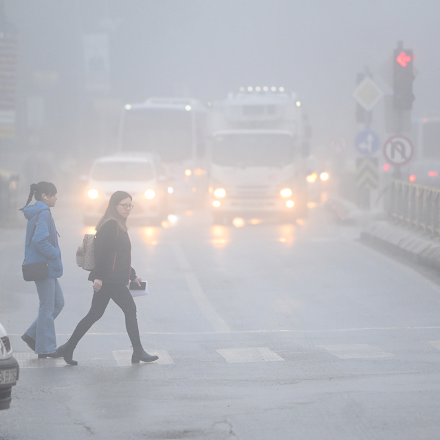 Edirne'de yoğun sis etkili oldu