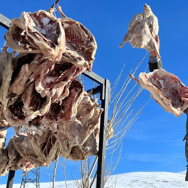 İstanbul'a götürülmek için kesilen kazlar direklere asılarak kurutulmaya ba...