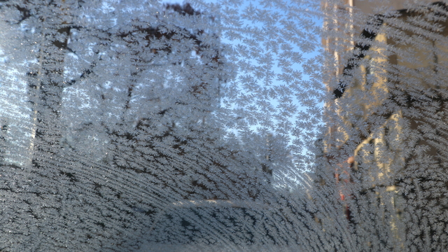 Ardahan ve Ağrı'da nehir ile dereleri buz, ağaçları kırağı kapladı