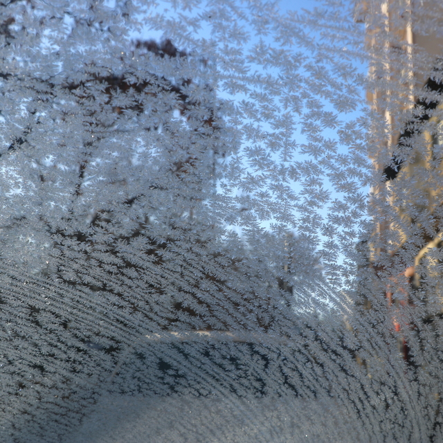 Ardahan ve Ağrı'da nehir ile dereleri buz, ağaçları kırağı kapladı