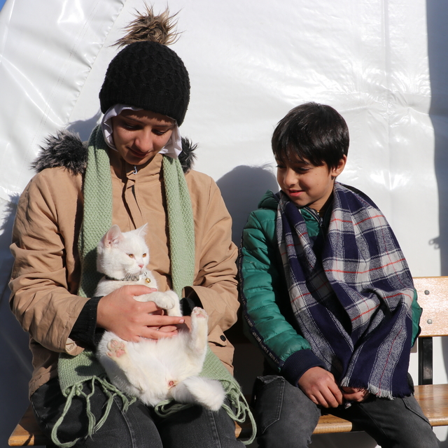 Suriyeli Munteha Türkiye'de sahiplendiği kedisini de ülkesine götürdü