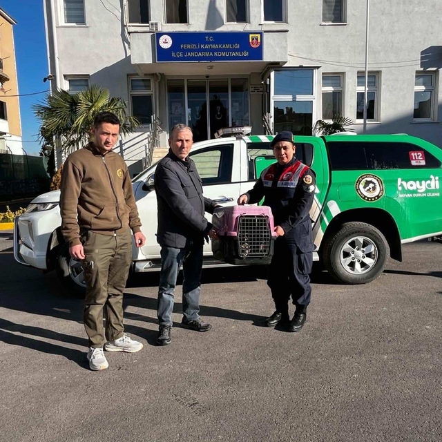 Sakarya'da kaçak avlanan kişiye 48 bin 250 lira ceza kesildi