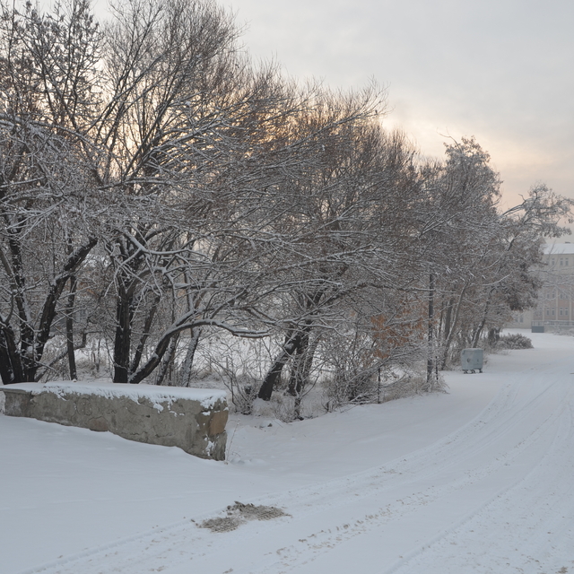 Yüksekova'da kar etkili oldu
