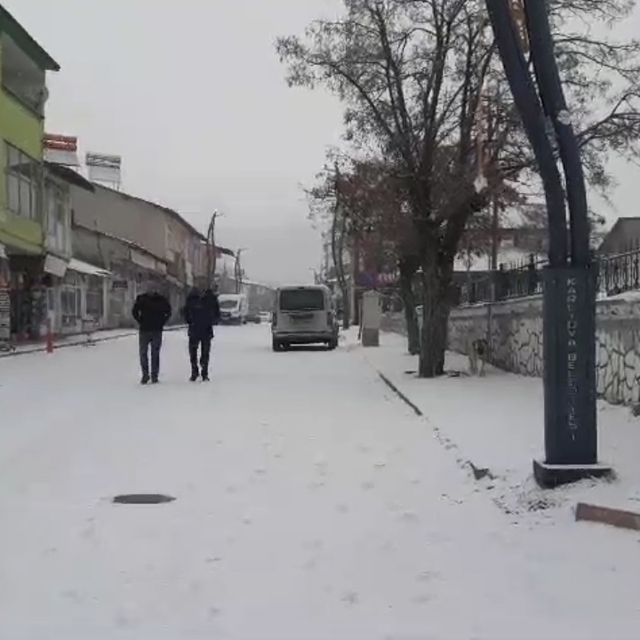 Karlıova'da kar yağışı etkili oldu