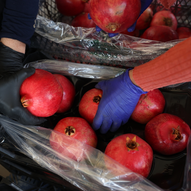 Türkiye'nin nar üretiminin yüzde 21'i Antalya'dan