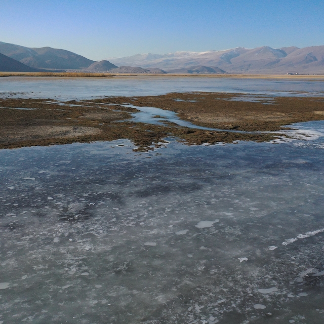 Ağrı'da sulak alanlar buz tuttu