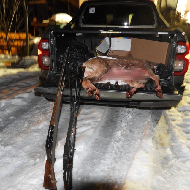 Artvin'de yaban keçisi avlayan 2 kişiye 660 bin lira ceza