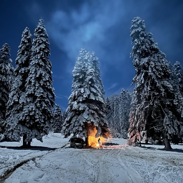Karabük'te Sarıçiçek Yaylası beyaza büründü; aç kalan tilkiyi eliyle besled...