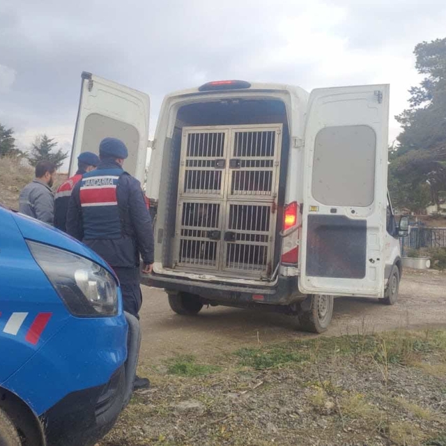 Kırıkkale'de köpek dövüştüren 2 kişiye 12 bin 850 lira ceza verildi