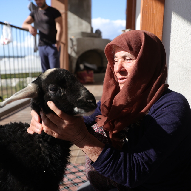 Kar fırtınasından AFAD ekiplerince kurtarılan yaşlı kadın kuzusuna kavuştu