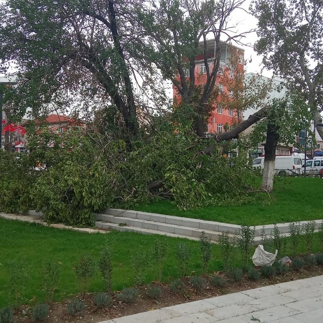 Kuzey Ege için 'fırtına' uyarısı
