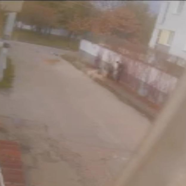 Etrafını saran sokak köpeklerinden sırt çantasını savurarak kurtuldu