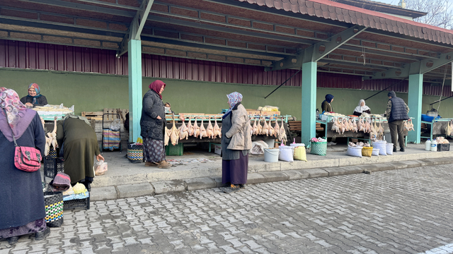 Doğal ortamda beslenen "Eflani hindisi" yeni yıl öncesi pazardaki yerini aldı